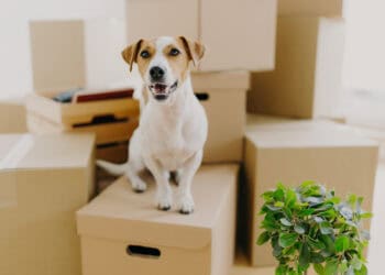 Relocating to the UK