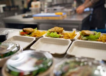 Free school meals